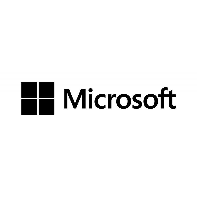 MS WS19 5USR CAL EMEA LTU MS WS19 5USR CAL EMEA LTU
