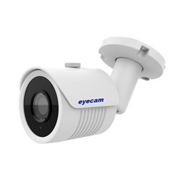 Camera IP full HD 1080P Sony 30M Eyecam EC-1346