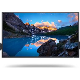 DL MONITOR 65'' C6522QT 3840x2160