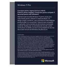 Win 11 Pro FPP P2 32-bit/64-bit Eng USB