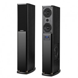 SISTEM AUDIO PASSION NEGRU...