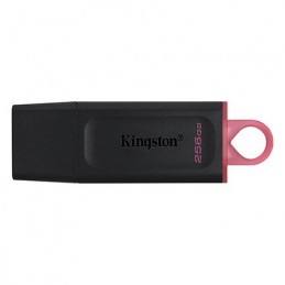 FLASH DRIVE 256GB DT USB...