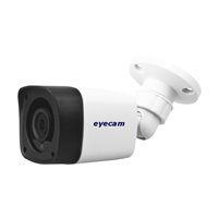 Camere analogice Eyecam